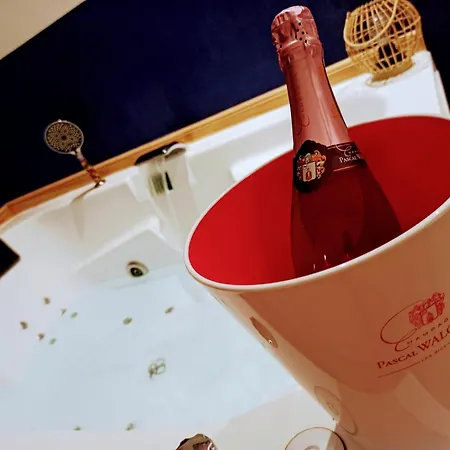 Cosy, Grand Privatif Et Parking Privee Centre مينتون