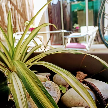 Cosy, Grand Privatif Et Parking Privee Centre *