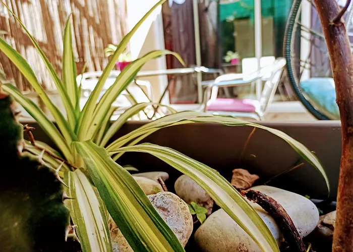 Cosy, Grand Privatif Et Parking Privee Centre *