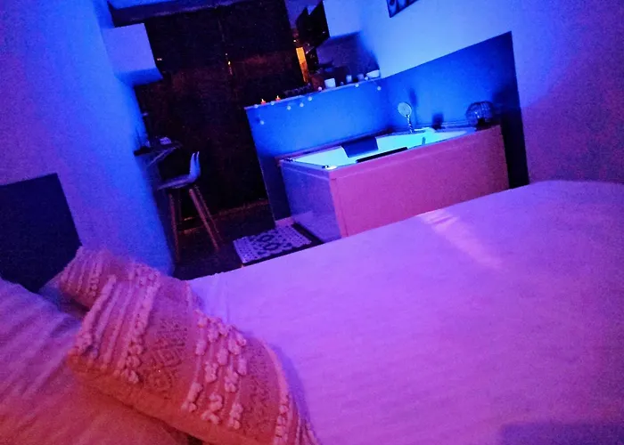 Appartement Cosy, Grand Privatif Et Parking Privee Centre *