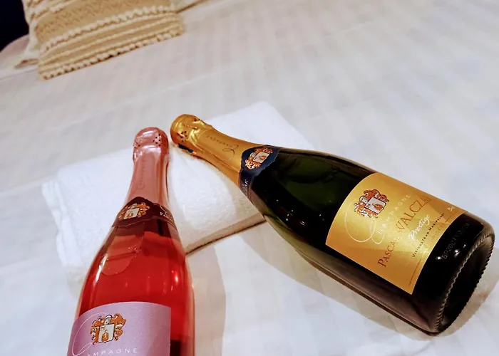 Cosy, Grand Privatif Et Parking Privee Centre