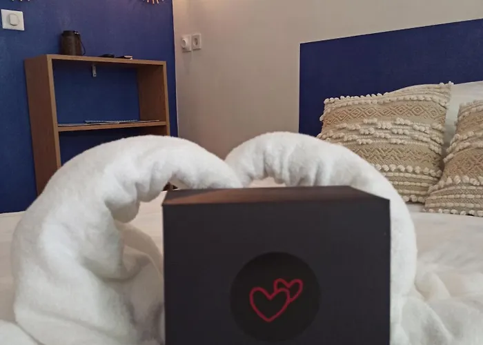 Appartement Cosy, Grand Privatif Et Parking Privee Centre